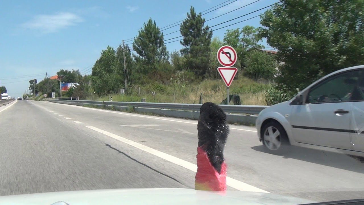 Condeixa Orelhudo Cernache IC2 N1 Portugal 25.5.2017 #1238