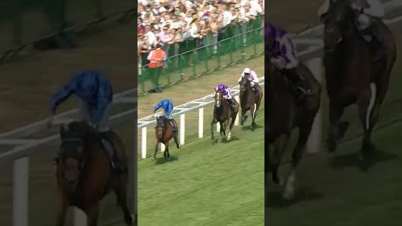 TRAWLERMAN wins the 2025 Gold Cup at 