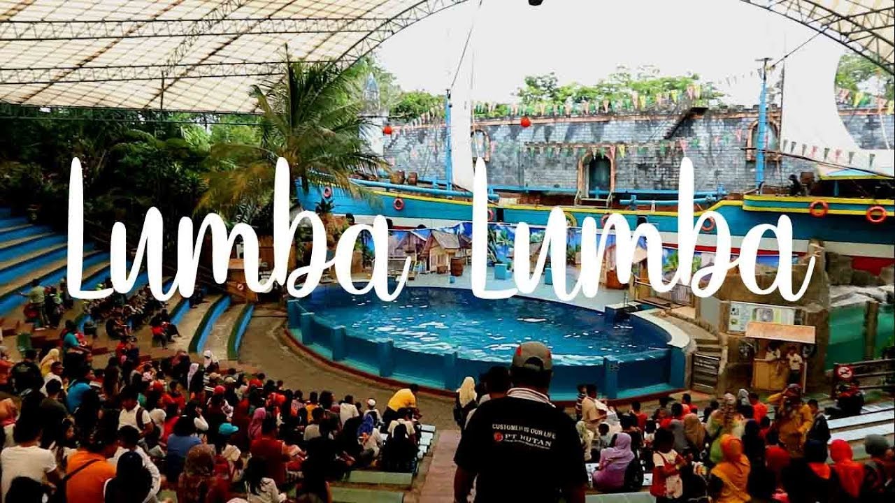 atraksi lumba lumba di taman safari 2 prigen pasuruan jatim