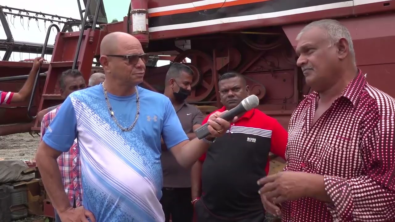 Padiboeren in Nickerie