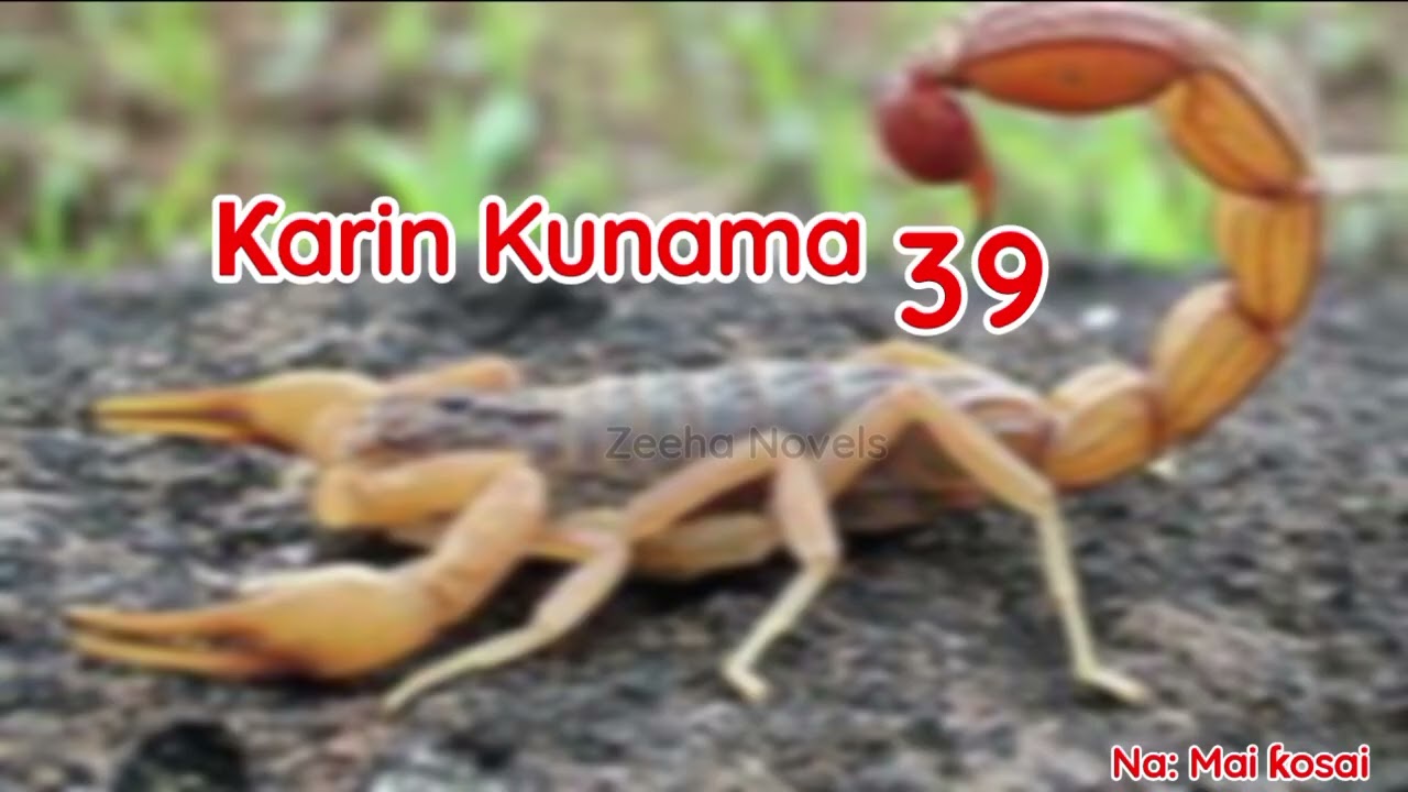Karin Kunama 39, Labari mai cike da Sarƙaƙiya, Yaudara da Mugunta 
