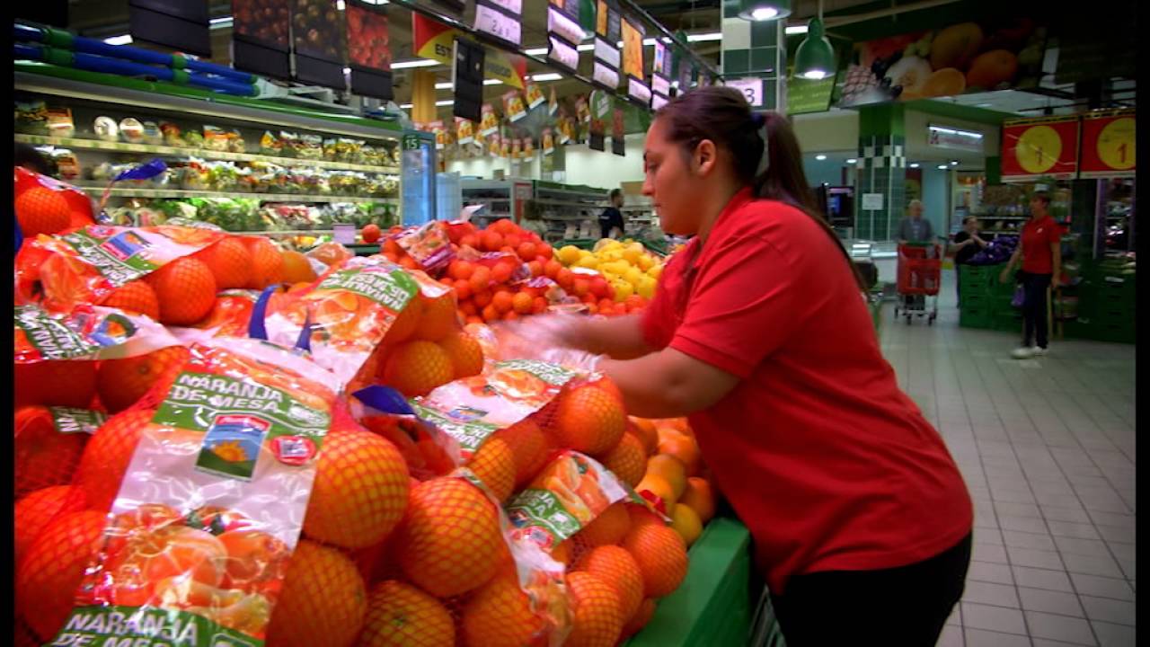 Aprender Trabajando Alcampo Zaragoza