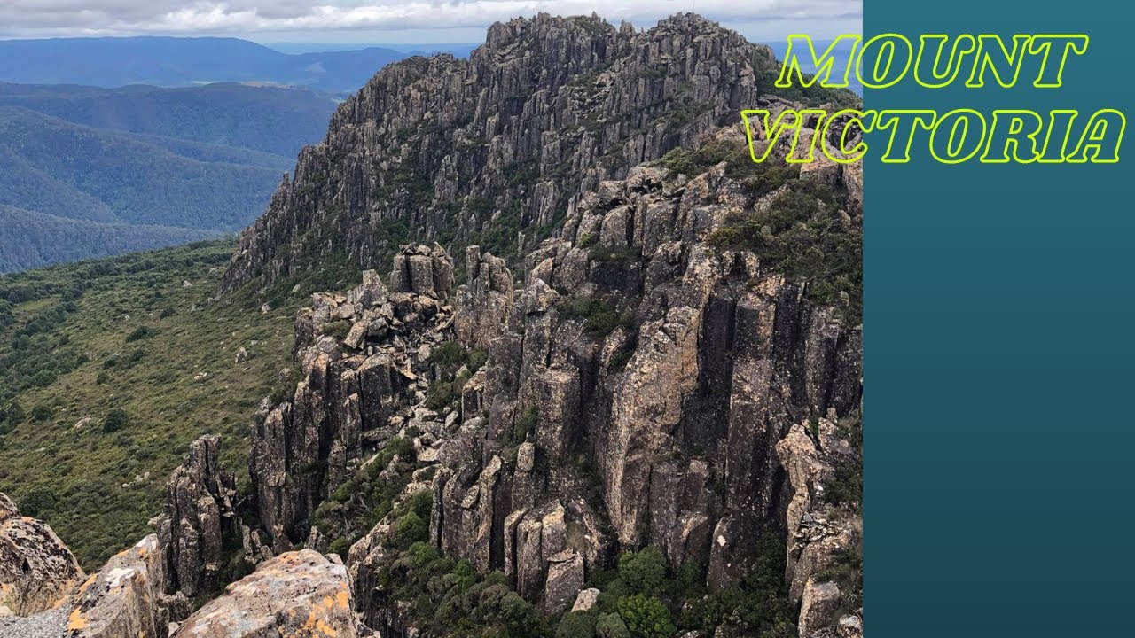 MOUNT VICTORIA - TASMANIA