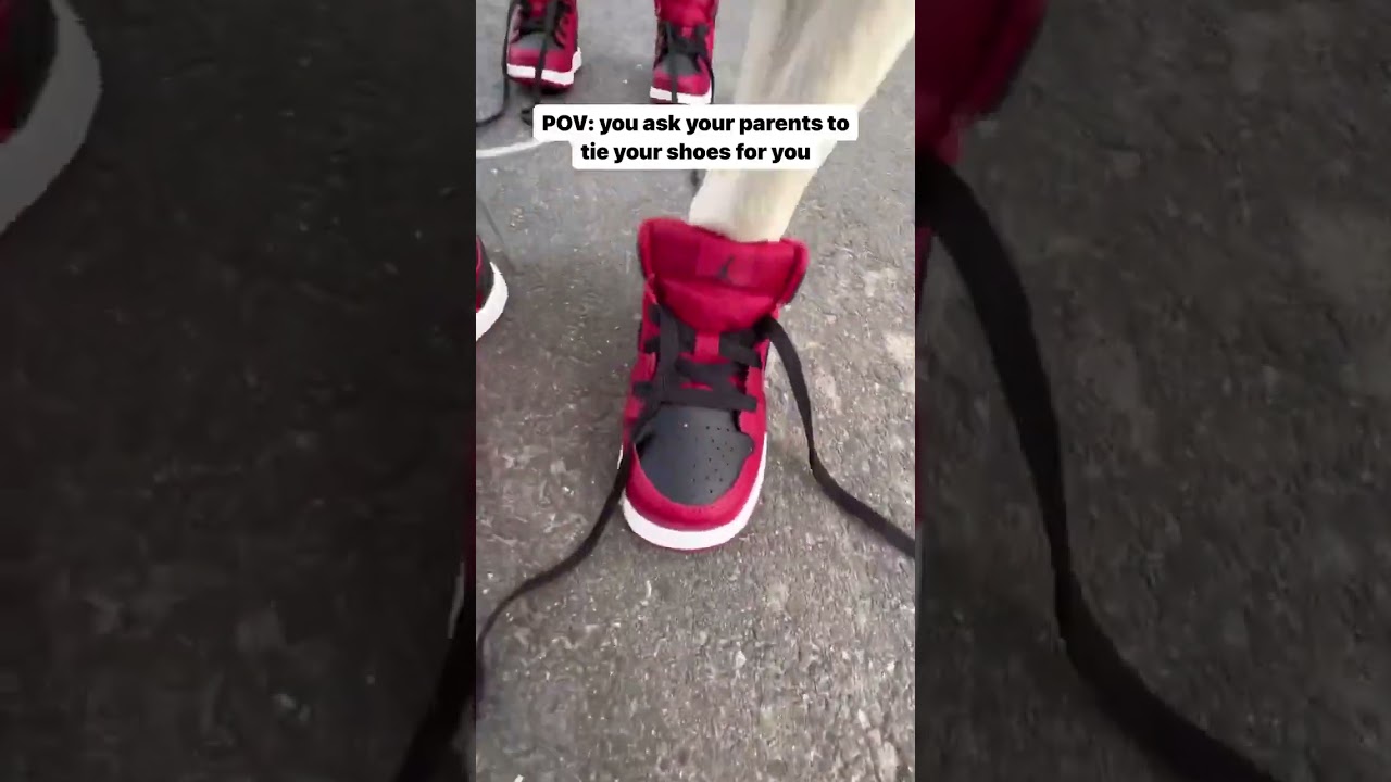 This dog is super fly 🔥 #sneakers #nike #fashion #sneakerheads #jordan #basketball #nba #adidas