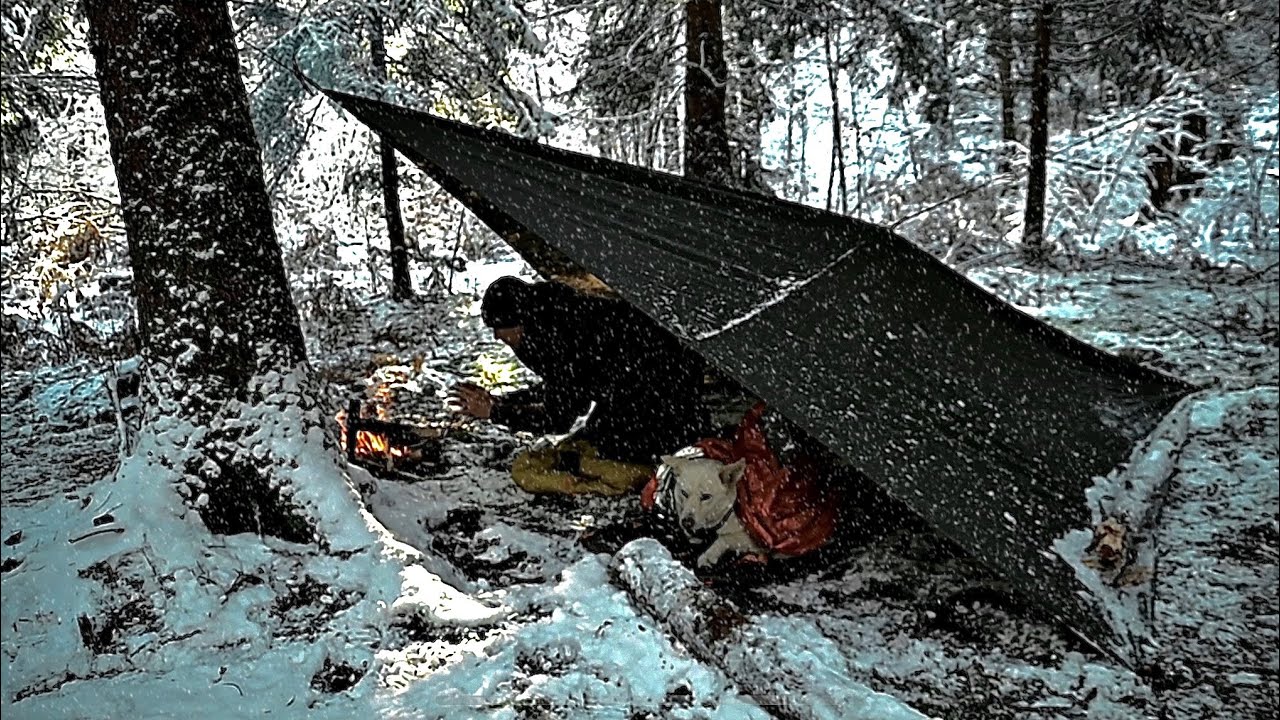 2 DAY Bushcraft Winter Survival Challenge build Survival Diamond Tarp Shelter in a Snowy Forest