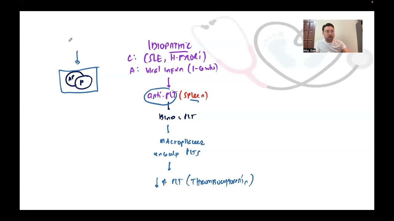 HEMA Series: Immune Thrombocytopenia (ITP)