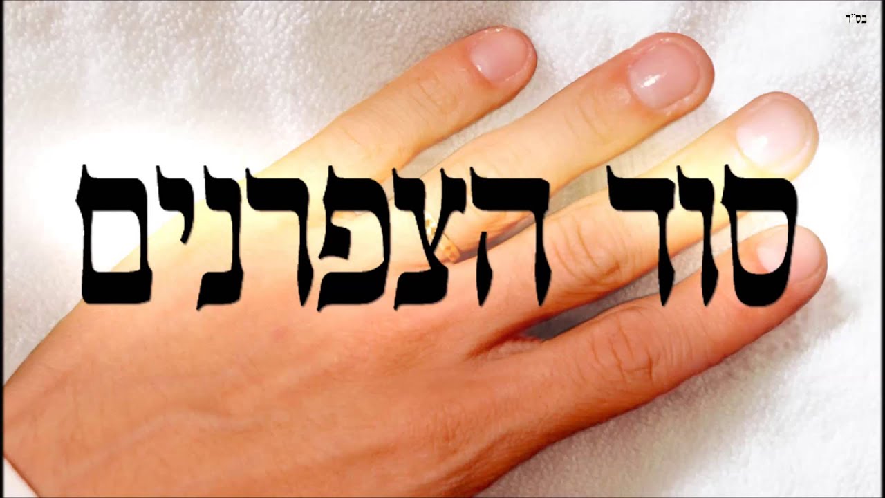 סוד הצפרנים - שיעור תורה בספר הזהר הקדוש מפי הרב יצחק כהן שליט