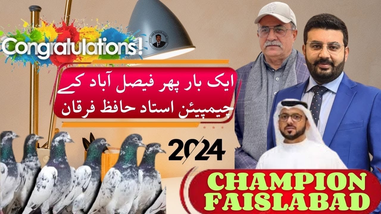 Who is best ? Piplan Group Vs Lahore  Ka Sabse Bara Kabootar Muqabla Teddy V S sharmeelay