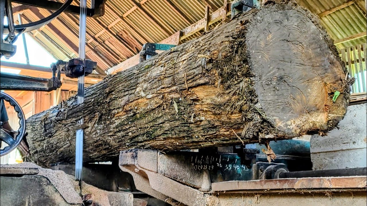 This is the process of sawing abandoned teak wood into high-quality luxury boards