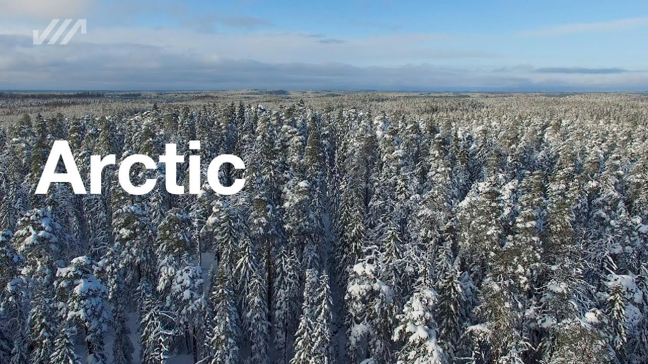 Arctic | Vahva perintö - globaali voima