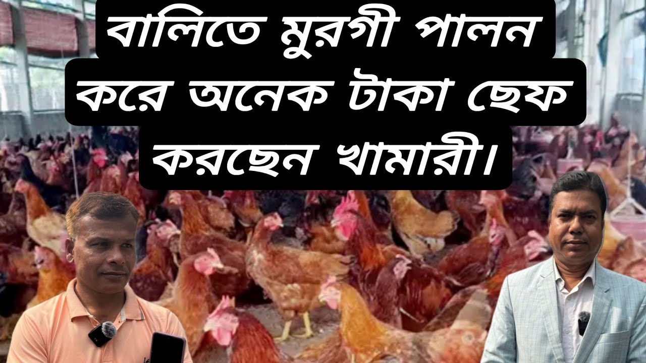 বালিতে মুরগী পালন করে অনেক টাকা ছেফ করছেন খামারী।