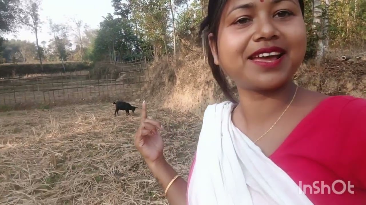 এটা বস্তু আনিলো কি আনিলো চাওঁ আহক 