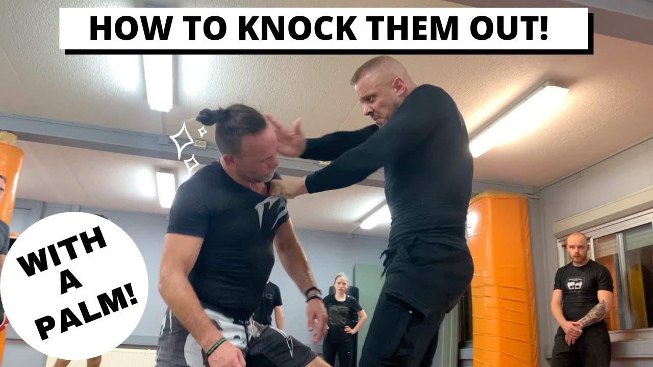 How to knock them out with a palmstrike!
