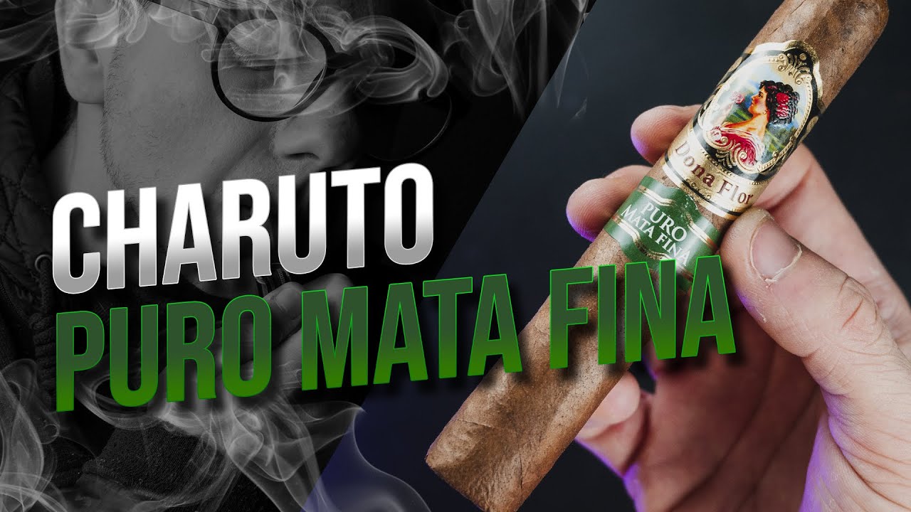 REVIEW do DONA FLOR PURO MATA FINA