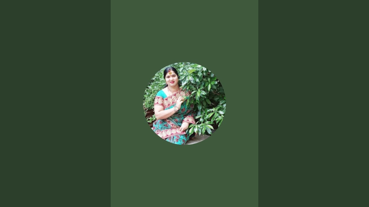Rina ki Duniya is live namah shivaye friends