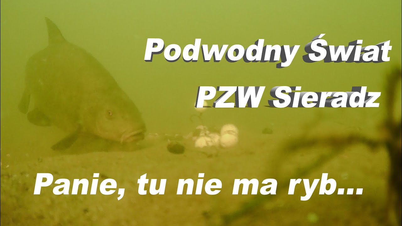 Podwodny Świat Ryb, PZW Sieradz Water Wolf Camera