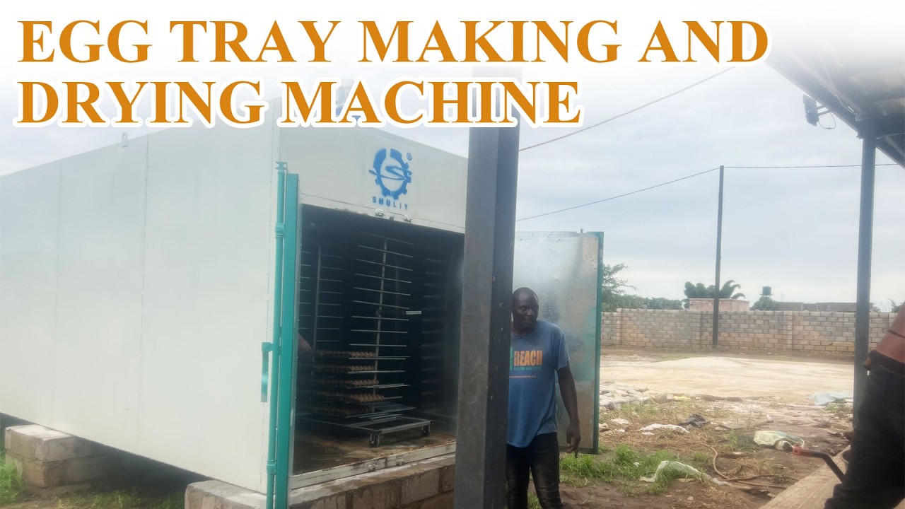 Egg Tray Dryer in Action | Perfect Partner for Egg Tray Machines 🍳🚀#eggtray #dryer