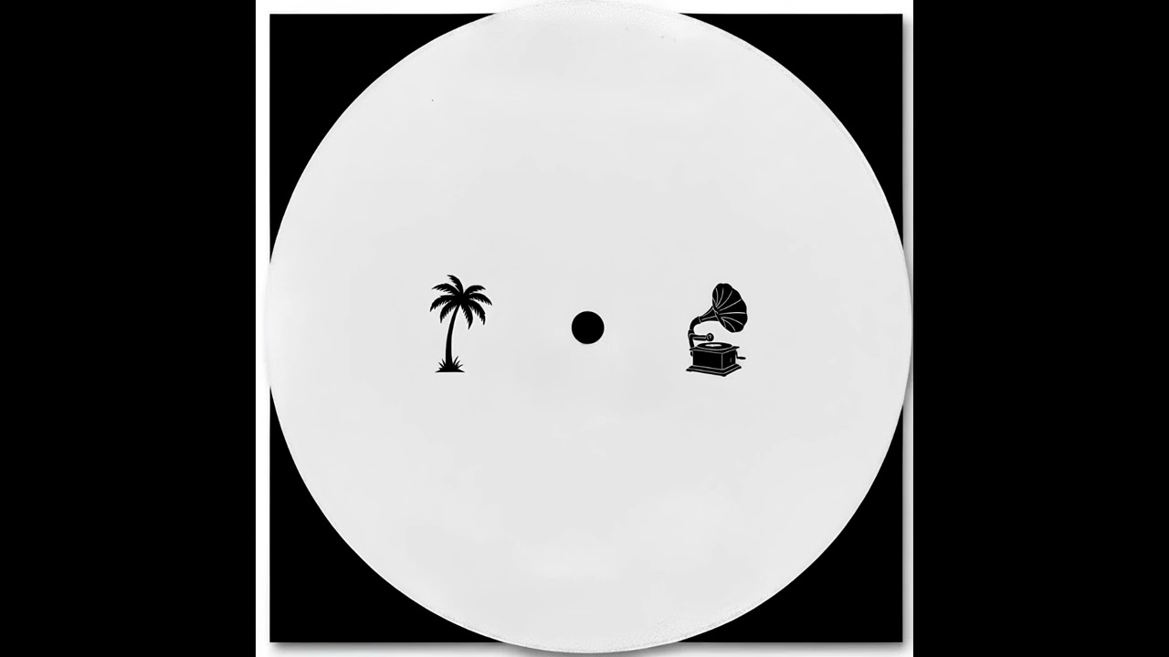 Unknown Artist ─ Situation [goose.goose remix]