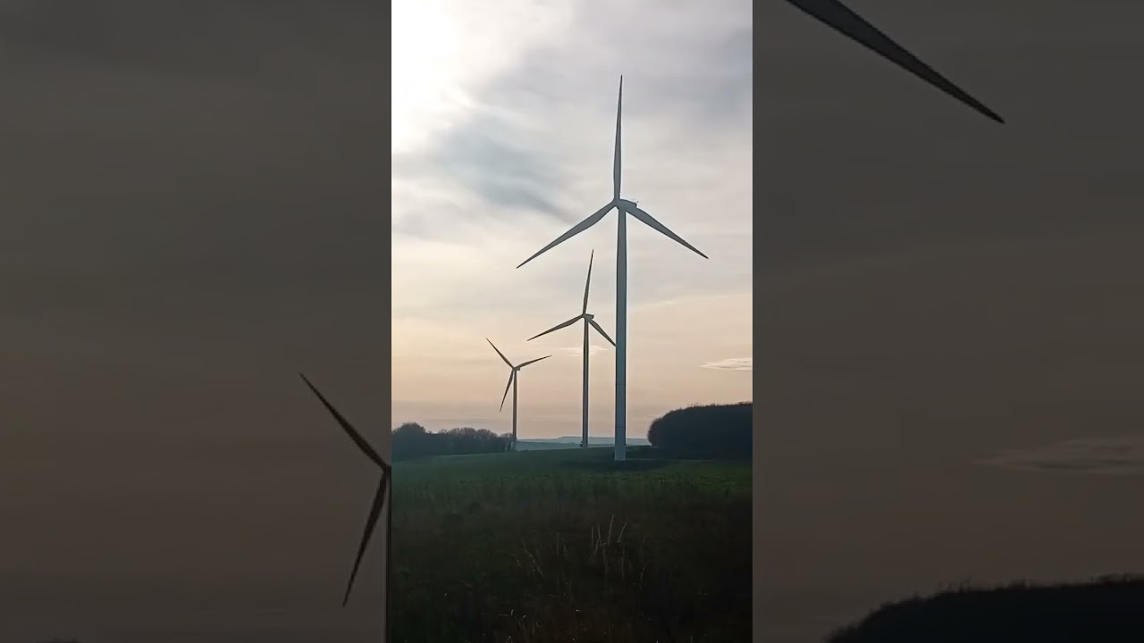 Le parc éolien de zondrage 
