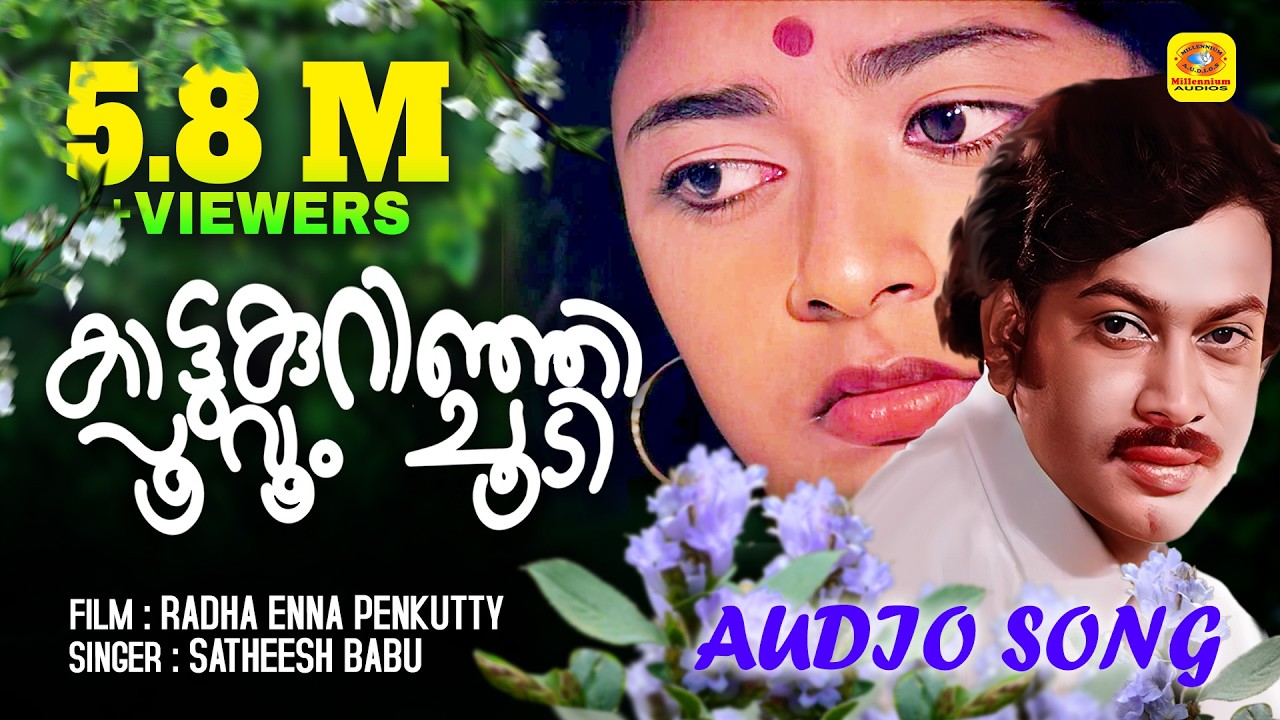 കാട്ടുകുറിഞ്ഞി പൂവും ചൂടി  | Radha Enna Penkutty | Evergreen Malayalam Movie Song | Audio Song