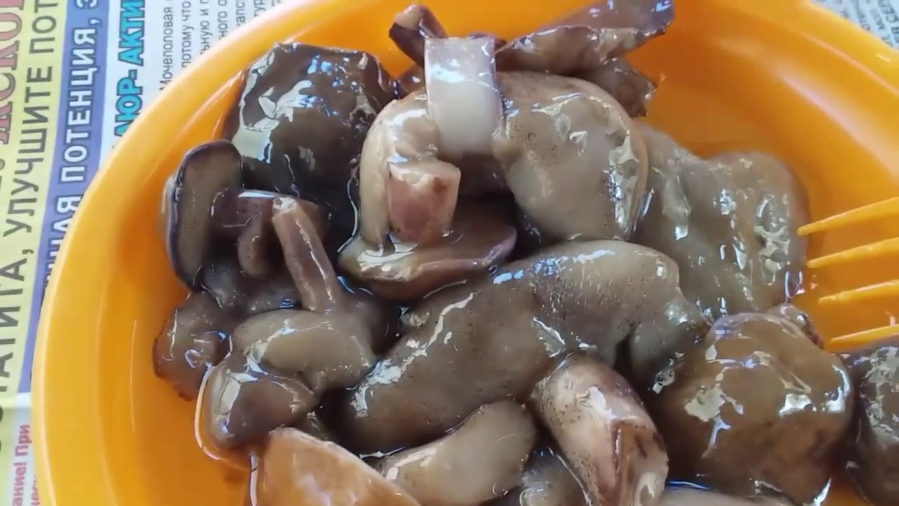 САРЫКОЛЬ( БЫВ. УРИЦКИЙ) ОТДЫХ, БАРБЕКЮ, СПАСЕНИЕ КОШЕЧКИ....БЕРЕГИТЕ ПРИРОДУ!
