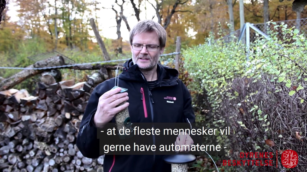 Drop foderbrættet og undgå syge fugle