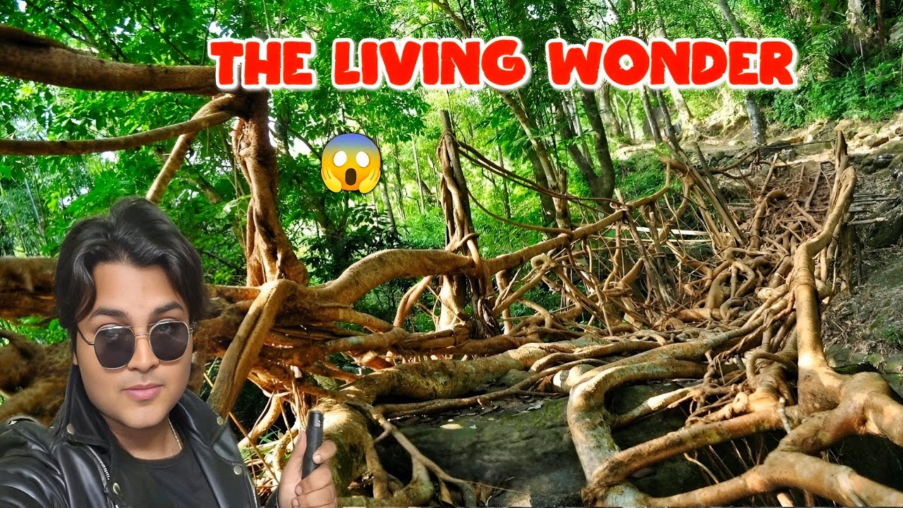 Umkar Living Root Bridge | Meghalaya's Natural Engineering Wonder
