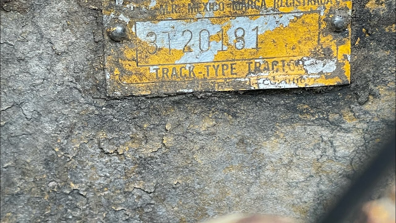 D7 3T walk around