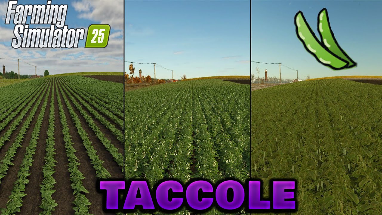 Farming Simulator25  | GUIDA seminare & raccogliere le TACCOLE