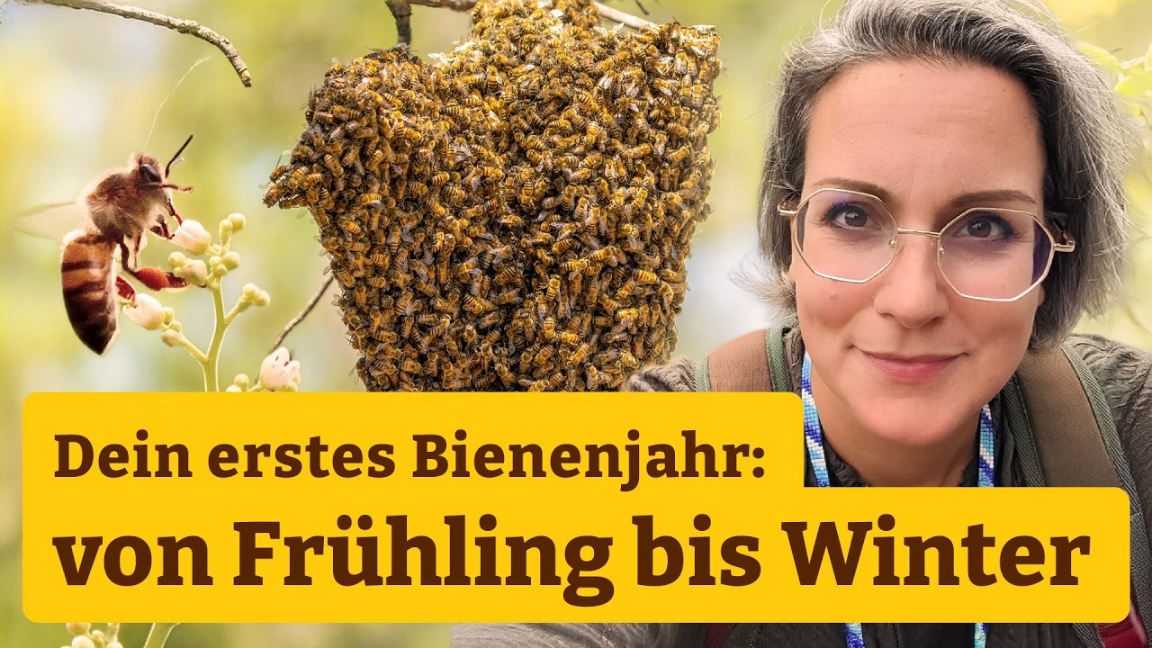 Bienenstunde: Dein erstes Bienenjahr – von Frühling bis Winter