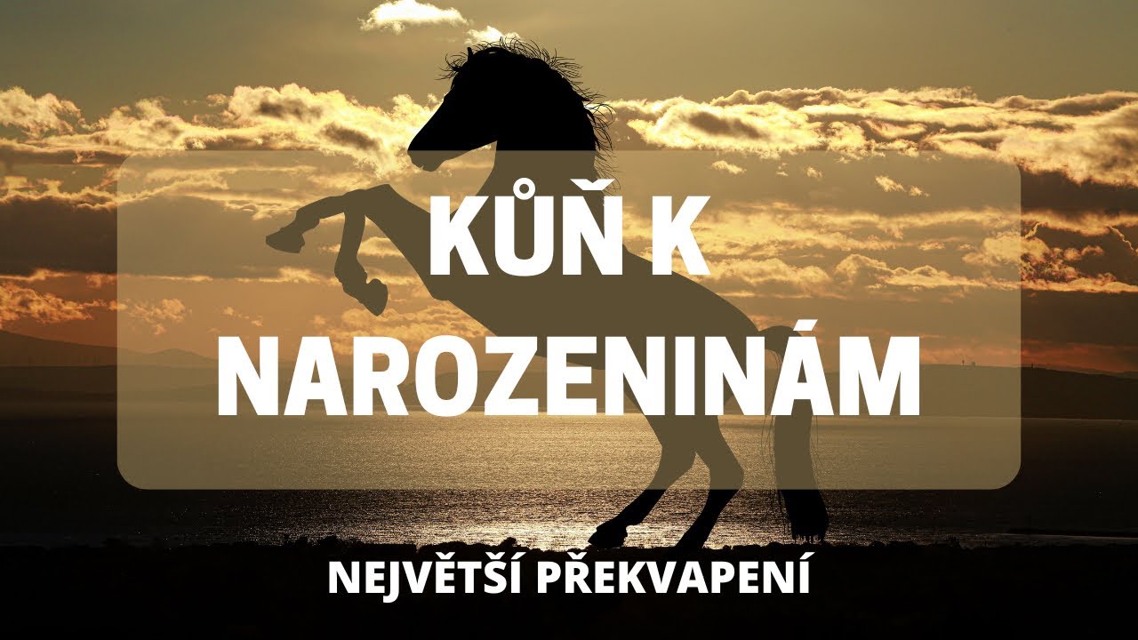 PŘEKVAPENÍ|Holky dostaly koně k narozeninám! Aneb vybíráme nového koně!