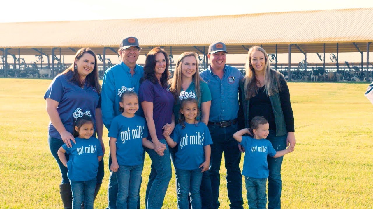 A Day on the Dairy Farm