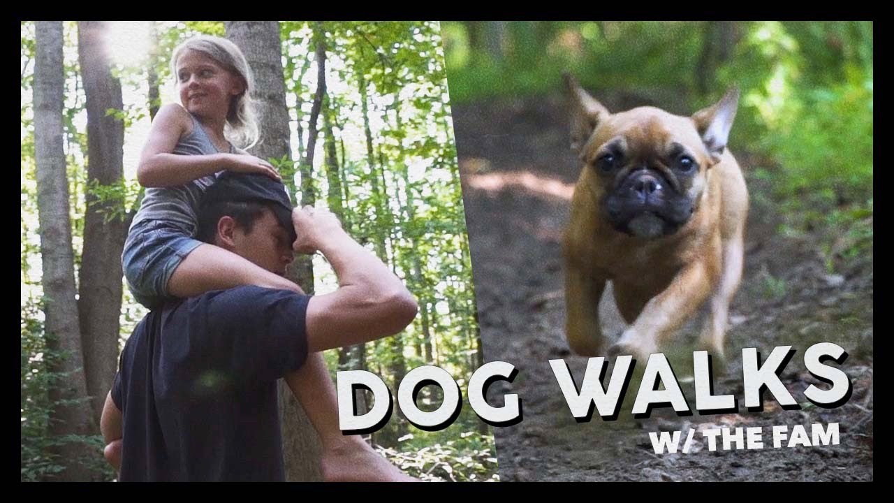 Checking in with Skylynn - Dog Walks Ep. 2