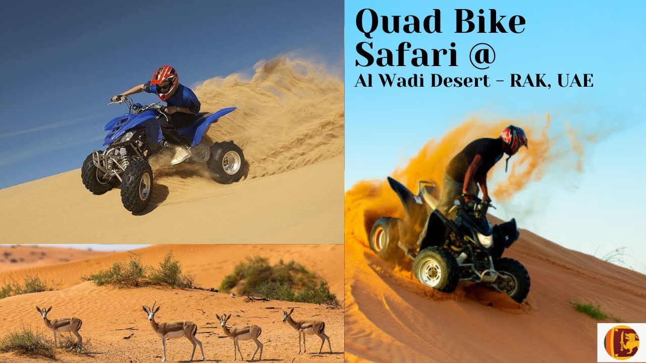 Quad Bike Riding at Al Wadi Desert - RAK | UAE - ලංකාවේ අපි  UAE කාන්තාරයේ  ATV riding