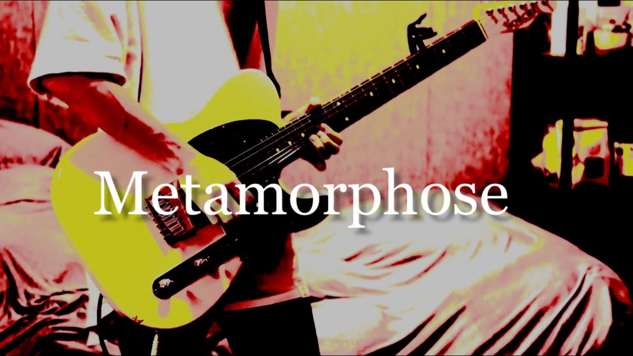 Metamorphose/凛として時雨 guitar cover