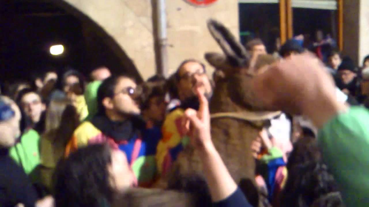 Carnaval de Solsona 2012 - Arribada del ruc a la plaça