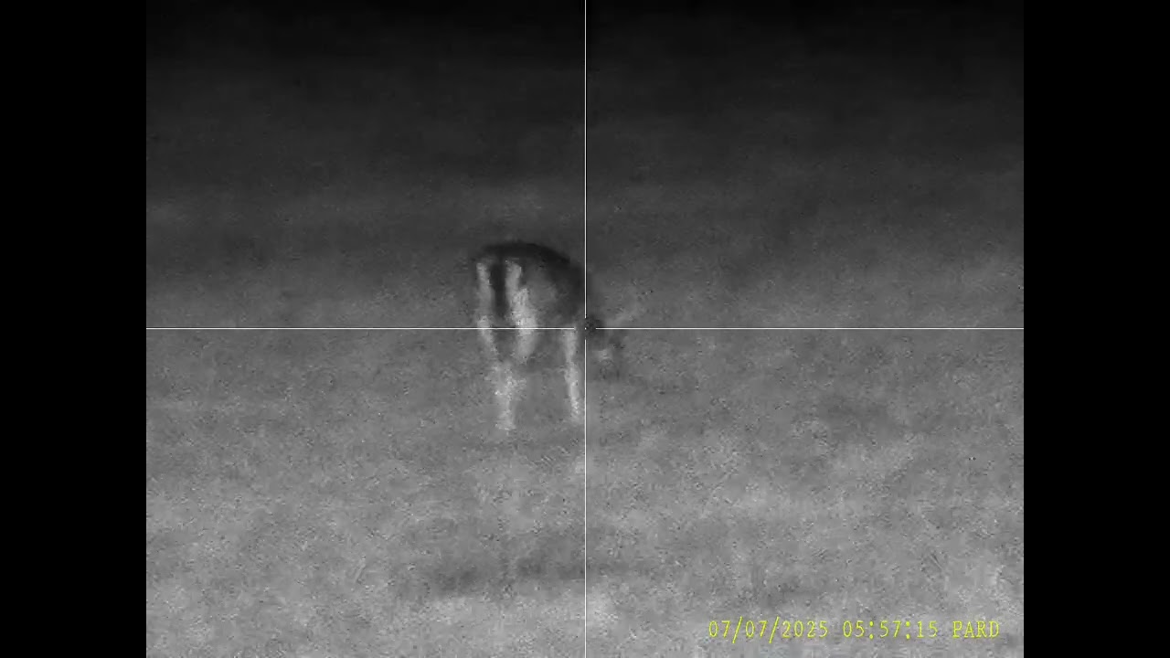 PARD Night Stalker 4K LRF 940nm 5,6x TEST vol.8 | LOVU ZDAR TV