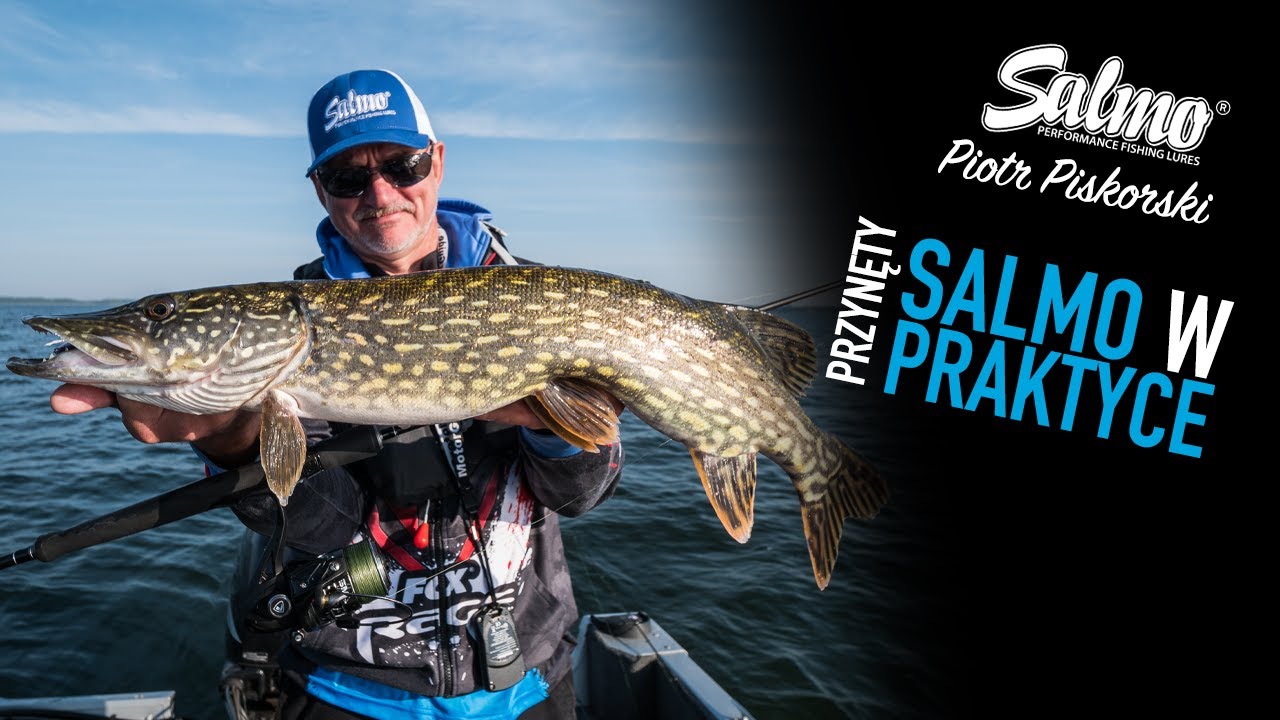 PRZYNĘTY SALMO W PRAKTYCE | Piotr Piskorski