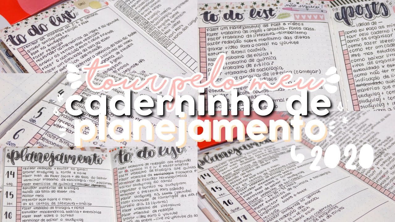 como me organizei em 2020 | tour pelo meu caderninho de planejamento