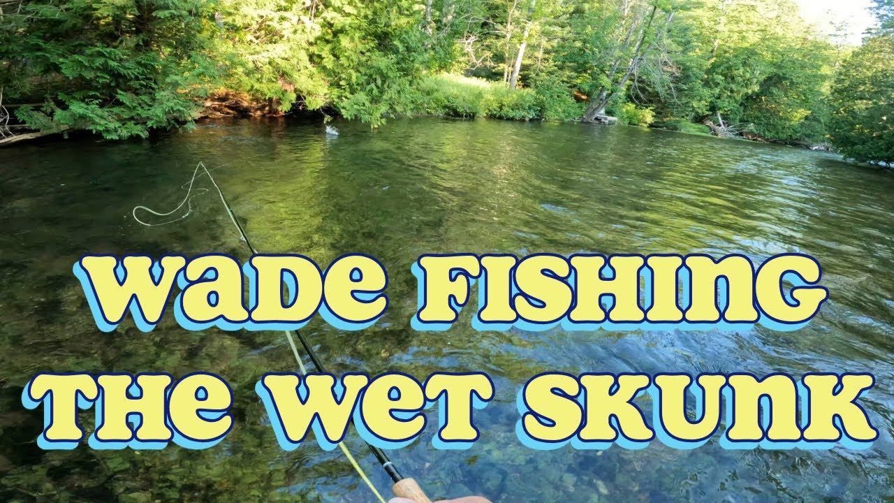 How to Wade Fish with a Wet Skunk