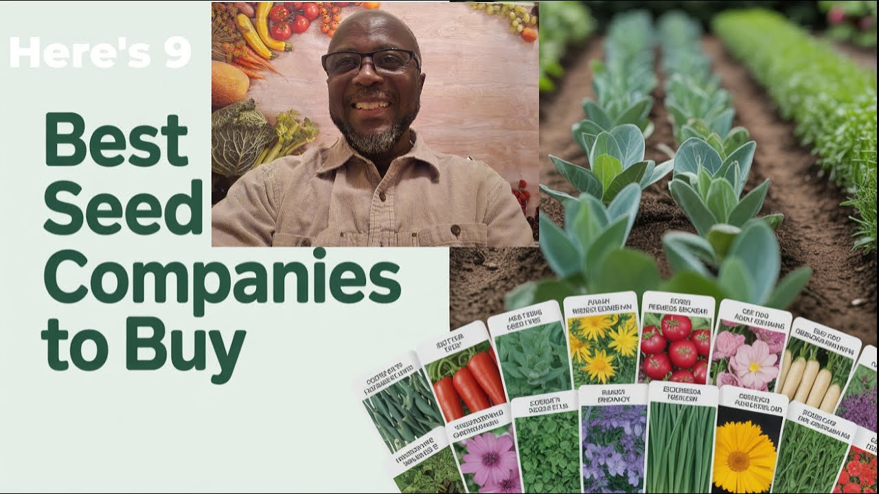 Why You Should Buy Seeds from Established Seed Companies 🌱 (Avoid These Costly Mistakes)