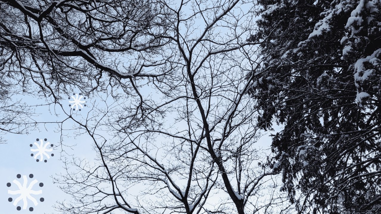 Snowflakes abound - Peaceful winter day for sleep, study & relaxation