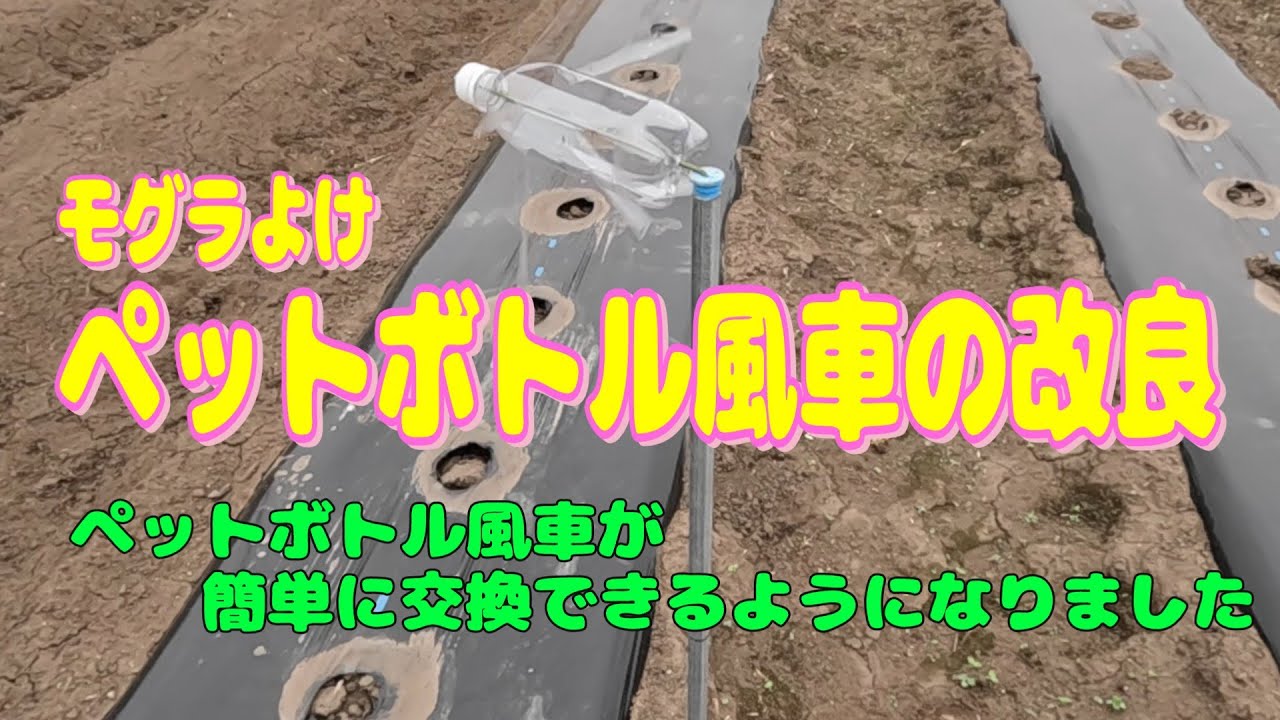 モグラよけペットボトル風車の改良 #ペットボトル風車 #モグラよけ #風車