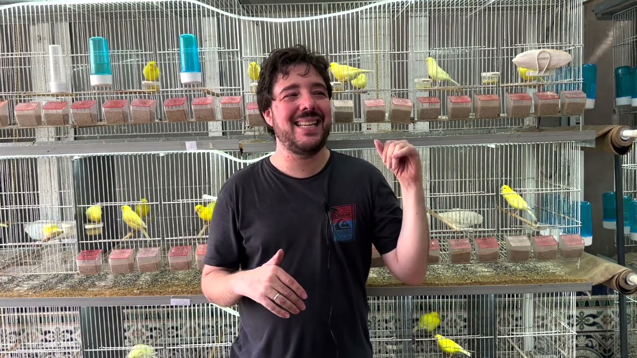 OBJETIVO CONSEGUIDO | ASÍ LUCE EL AVIARIO😱🐥