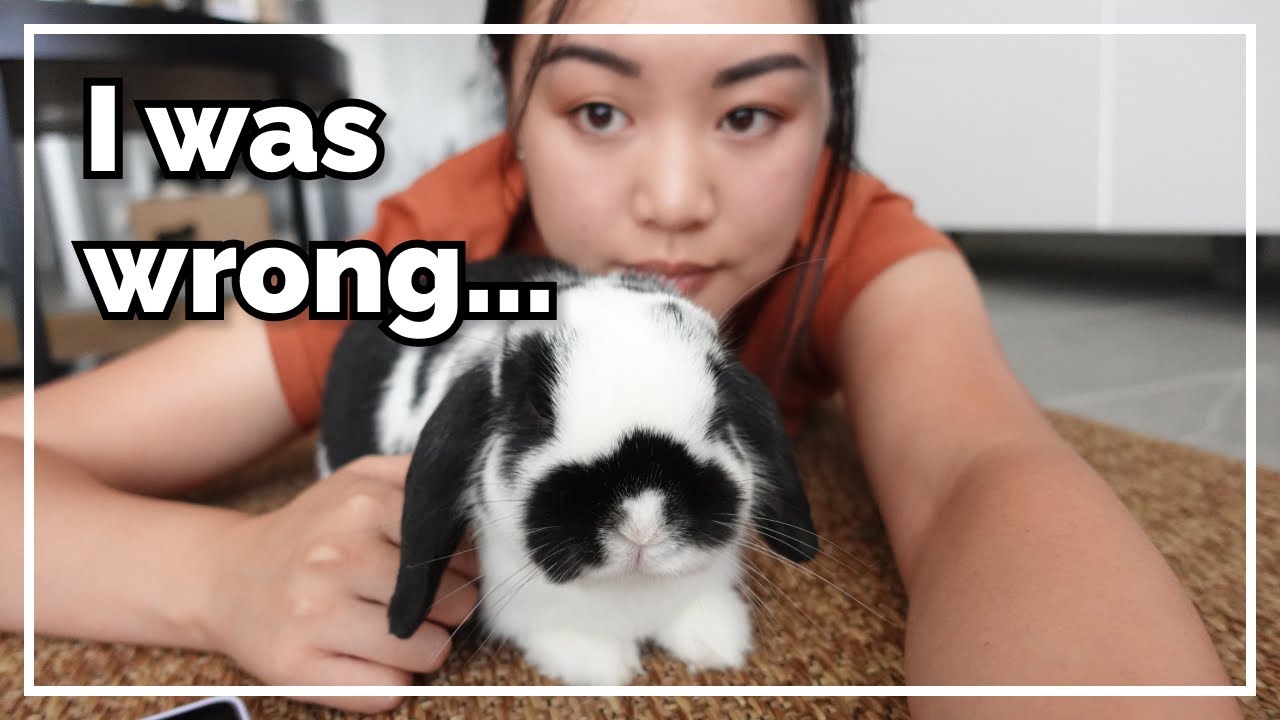 Correcting Mistakes In My Past Videos
