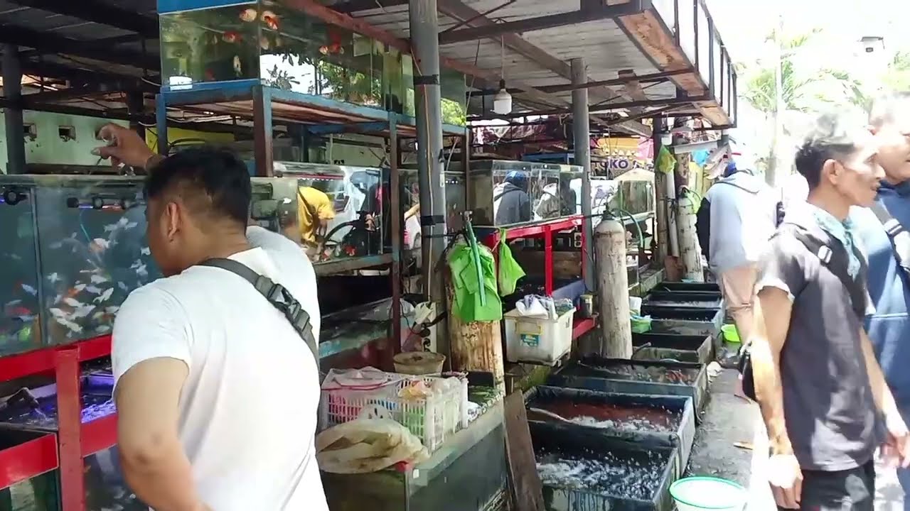 PASAR IKAN SURTIKANTI #viralvideo #semarang #wisata 