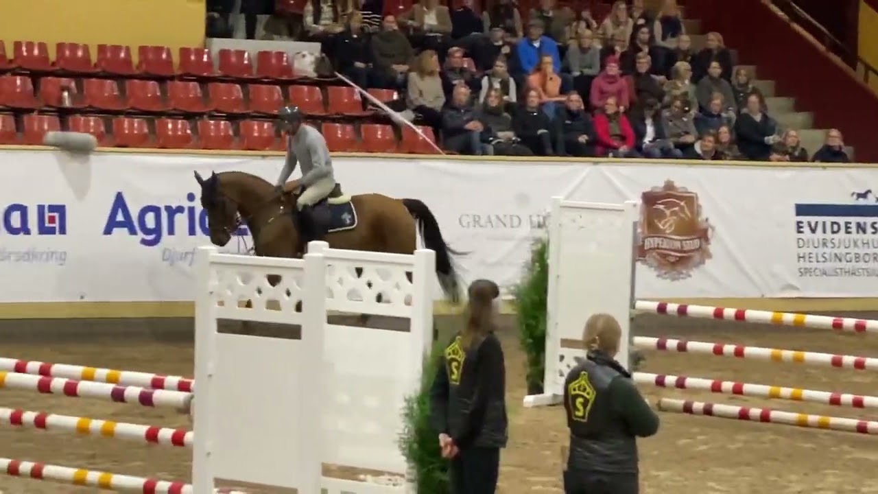 Henrik von Eckermann & Salvia af Hagalund 5-årsfinal Breeders 2022