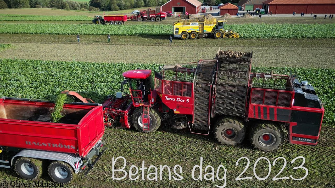Betans Dag 2023 p&aring; Svenstorps Gods