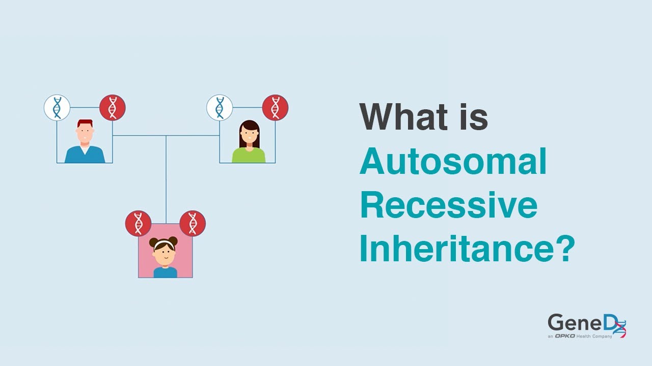 What is Autosomal Recessive Inheritance?