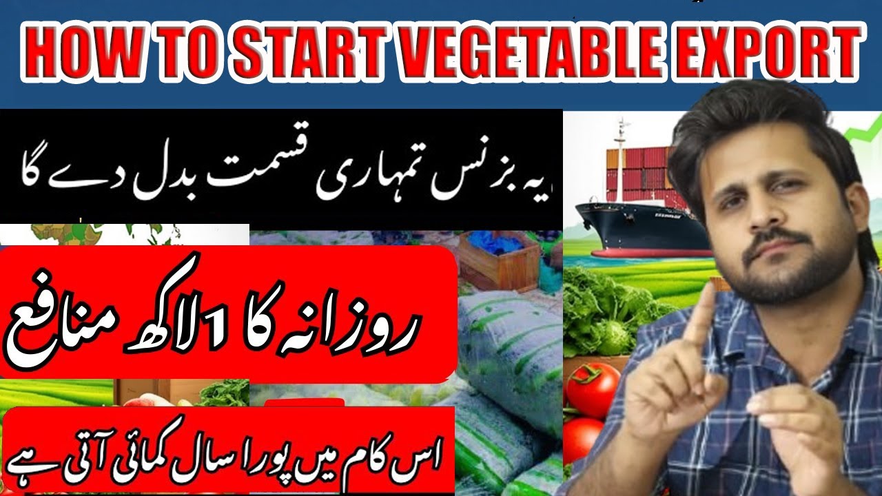 How to start vegetable export business/Pakistan's Most Profitable Business/Earn Money On Daily basis